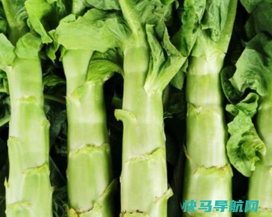 炒好的莴笋隔夜可以吃吗？莴笋的叶子可以吃吗？